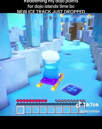 Redeem Dojo Points for New Ice Track Experience