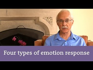 Different kinds of emotional responses in EFT