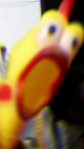 #sussudio #philcollins #misterchicken #mrchicken