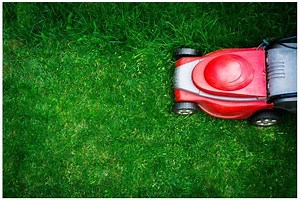 5 Best Lawn Mowers for St. Augustine Grass (March 2026)