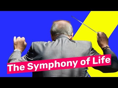 Why Music Is Important In Our Life: Its Impact & Importance In Society | Conrad Askland