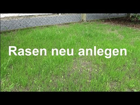 Laying lawn Sowing lawn Sowing lawn Detailed instructions Laying new lawn New lawn