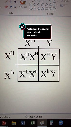 Understanding Colorblindness and Sex-Linked Genetics