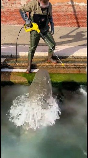 The vivid, almost fluorescent blue water of this volcanic lagoon is famous, but it hides a surprising secret: a massive, dark catfish! I dipped my hand into the warm, highly mineralized water near the black lava rock edge. Watch the intense struggle as I pull this huge creature out. This unusual catch proves that life finds a way even in the most extreme European environments. What is the most unique colored body of water you've ever seen? Let me know below! #handfishing #lagoon | Lumeora Vibes