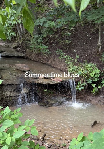 What do you miss most about spring and summer? 🙇🏻‍♀️ #countryside | Nature Spring Vibes