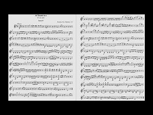 W. A. MOZART, Sonata in E min k. 304 (K300C) | Piano accompaniment