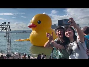 Giant inflatable duck deflates in Hong Kong harbor