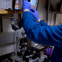 High Throughput Yeast Strain Phenotyping with Droplet-Based RNA Sequencing