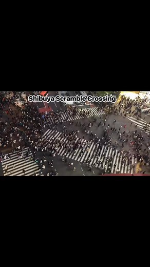 Shibuya Scramble Crossing | Gonza Excil | Facebook