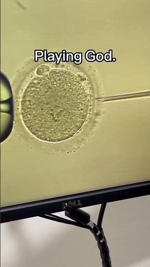 IVF | Microinjection