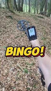 🌳 Forest paths are always a good option 💰 #coins #metaldetecting #treasurehunt #metaldetector #ex...