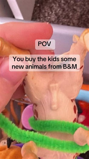 Incredible Animal Finds at B&M Shopping Haul