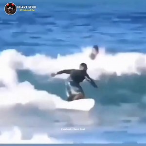 Life doesn't come with an instruction book That's why we have father. 🥰🤗 | Heart Soul