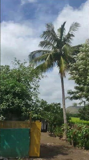 what a beautiful veiw