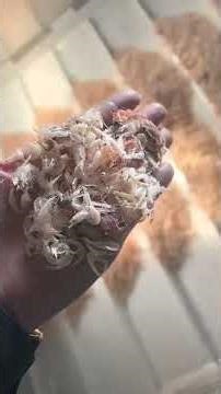 AMD Shrimp shell sorting, long focal length, pollution-resistant, and corrosion-resistant material.