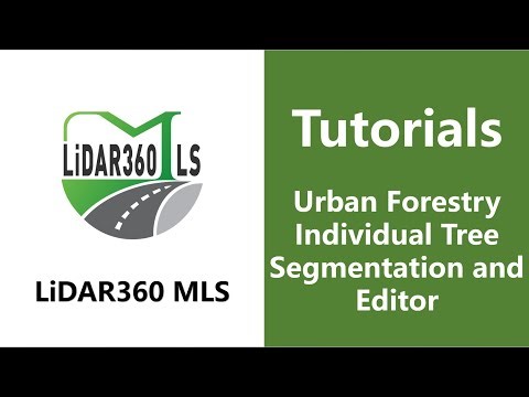 53. Urban Forestry Individual Tree Segmentation and Editor - LiDAR360 MLS