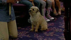 Watch The Haunted Hathaways Season 1 Episode 8 - Haunted Dog