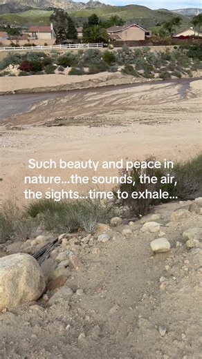 #walksinnatureateforpeace