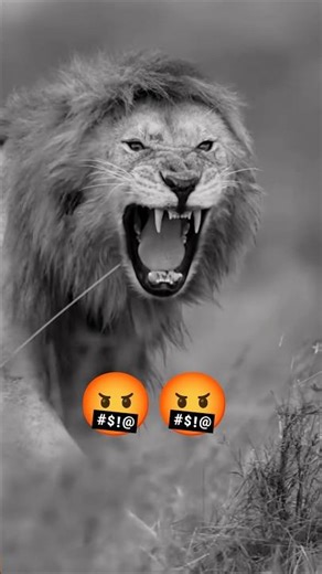 😈।।सवाल घमन्ड का नहि ।।🤬😈👿 #trending #motivation #changeyourmindsetchangeyourlife #attitude