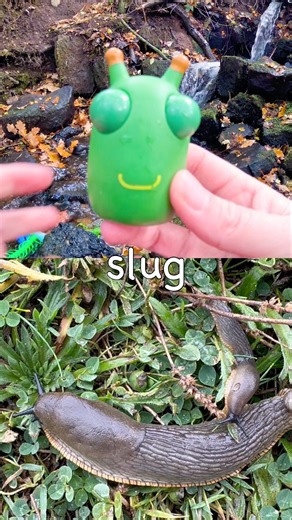 Bug Insect Names for Kids to Learn at the Waterfall: Praying Mantis Scorpion Tarantula Slug