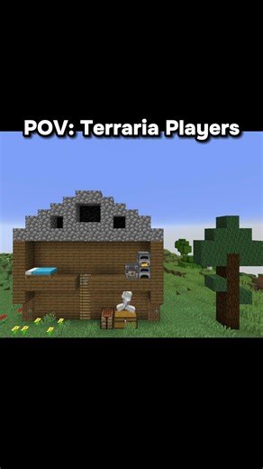 POV Terraria Players in Minecraft be like #minecraft #minecraftmemes #terraria #gaming