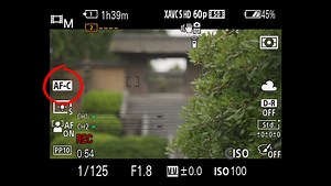Your Guide to Sony Autofocus Settings for Video