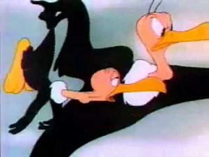Beaky Buzzard , Why couldn't you be smart like your brothers?
