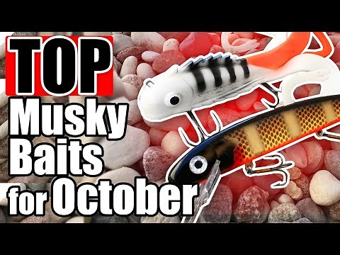 Top Musky Baits for October