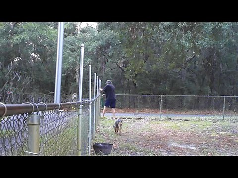 Chain link fence two foot extension part 2