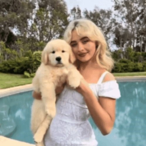 see it do it! nickname: don't got oneprns: she\ they height: I'm tall but idk how tall lol sexuality: bi \ lesbian kinda😛smokes: nopiercings: 2tattoos: 1 (small but it matches w my bf)fav color: blue fav drink: dr pepper ,lemonadefav food: steakfav animal: kittens