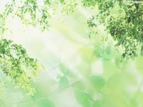 70年代男性アイドル