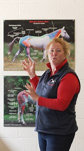 6.8K views · 150 reactions | Why is it important to learn about anatomy? | Horses Inside Out | Facebook