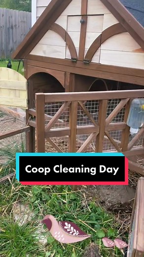 Cleaning Tips: How to Clean a Quail Easily