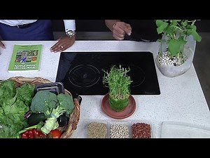 Growing Gardens From Gravel | NBC 6 Voices