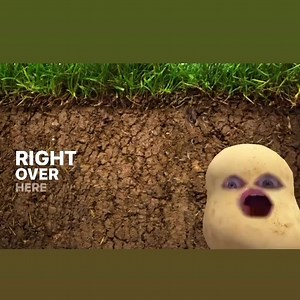 Really feel my acting managed to capture what it was like down there for months on end. 🥔 | Aisling Bea