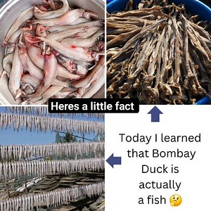 The Bombay Duck is actually a fish!