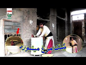 گیلک مرغ به ته لباس شوی میشوره