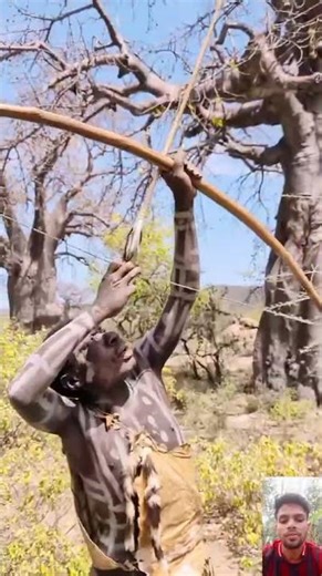 A fierce hunt for a leopard in a tree trunk! #survival