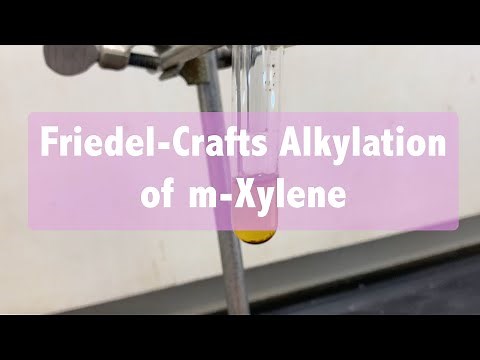 Friedel-Crafts Alkylation of m-Xylene
