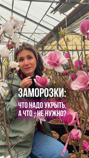 Здесь полезно и красиво о растениях для Подмосковья