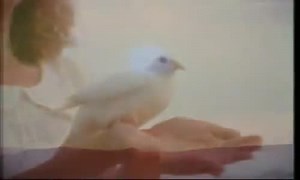 The Book Of Proverbs Full Movie Bible Movies