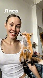 #russiantutor #learnrussian #russianteacher #russian | Alexandra Pozdnyakova