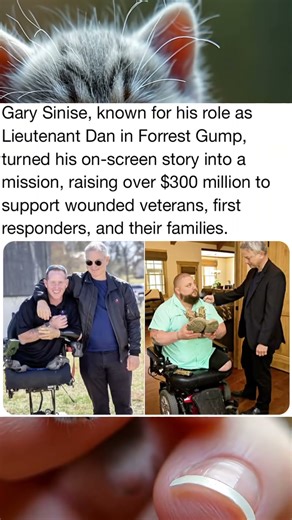 Gary Sinise known for his role as Lieutenant Dan in Forrest Gump turned his on screen story