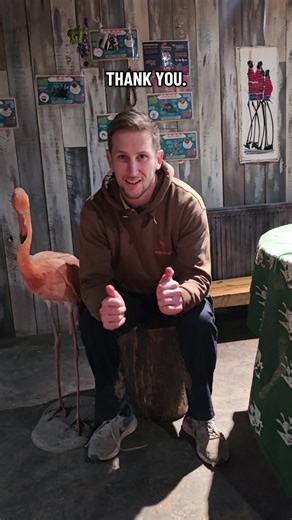 🐦 We’re supporting the @RSPB Big Garden Birdwatch! Will you join us? 🐦 Kieran is sharing more about the birds you can spot at Flamingo Land and why we’re proud to support this brilliant nationwide event 💚 🗓️ How to get involved: 🌿 Spend just one hour watching the birds in your garden between 23–25 January 👀 Count the birds that land (even if none turn up, that’s still important!) 📝 Submit what you saw to the RSPB online or by post It’s a simple way to help protect our native wildlife and 