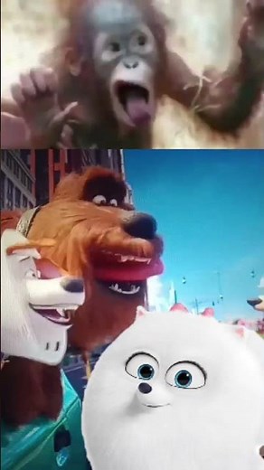 Secret Life Of Pets 2