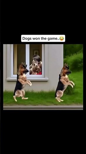 Dog Hentai #cartoondomain