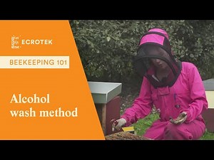 Hobbyist Varroa Monitoring: How to monitor for varroa using the alcohol wash method