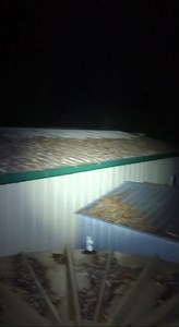 281K views · 2.1K reactions | Hardcopy carpet python in Jimboomba | Harrison's Gold Coast and Brisbane Snake Catcher | Facebook