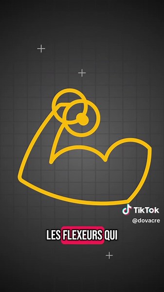 Les scripts kiddies et leur obsession pour les outils