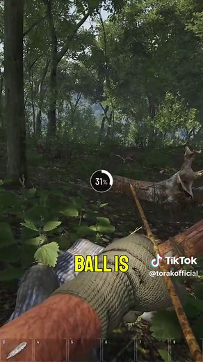 Exploring SCUM 1.0: Gameplay and Features Overview